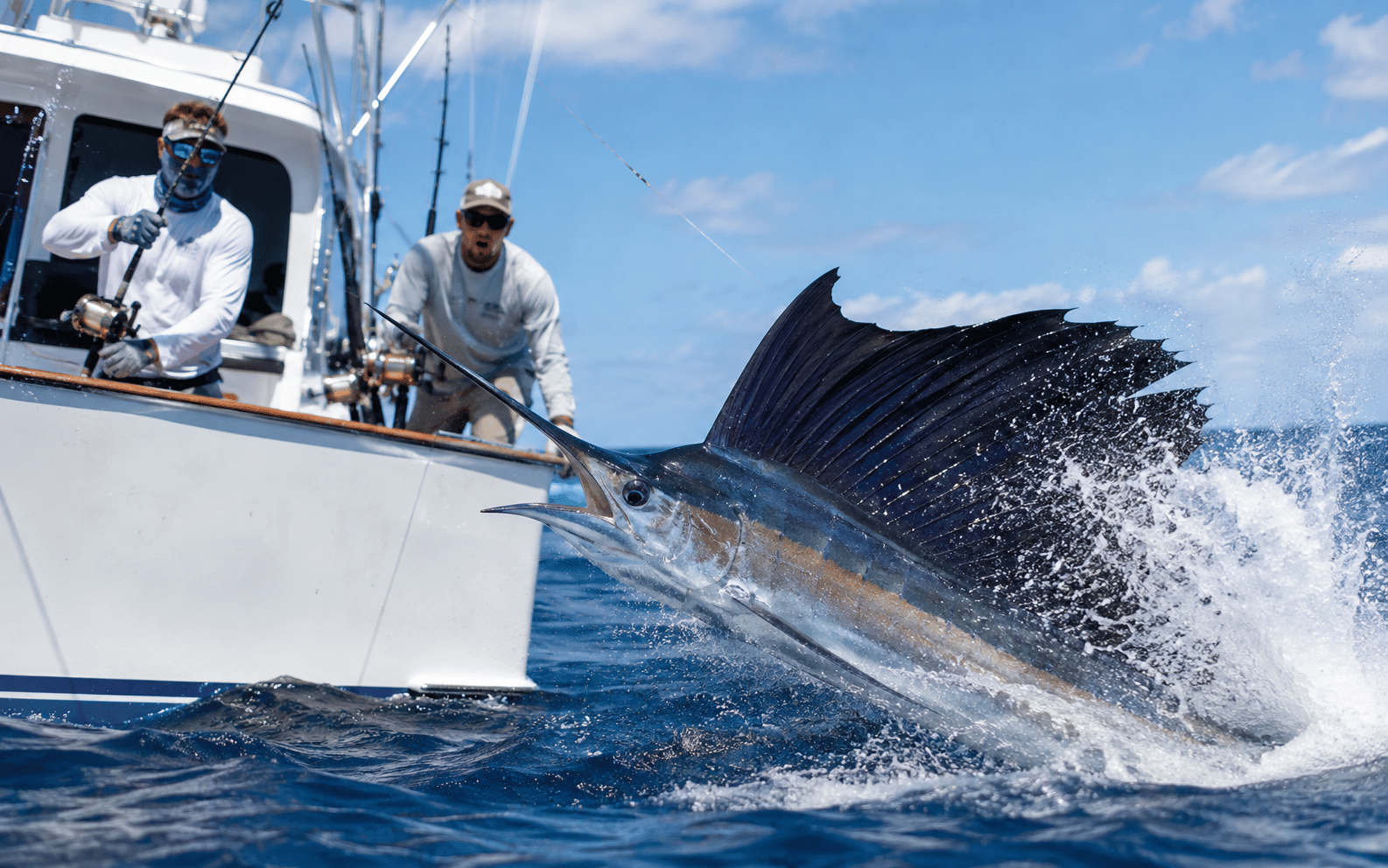 Sailfish Jump