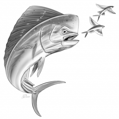 Florida Keys PBA Dolphin Tournament logo