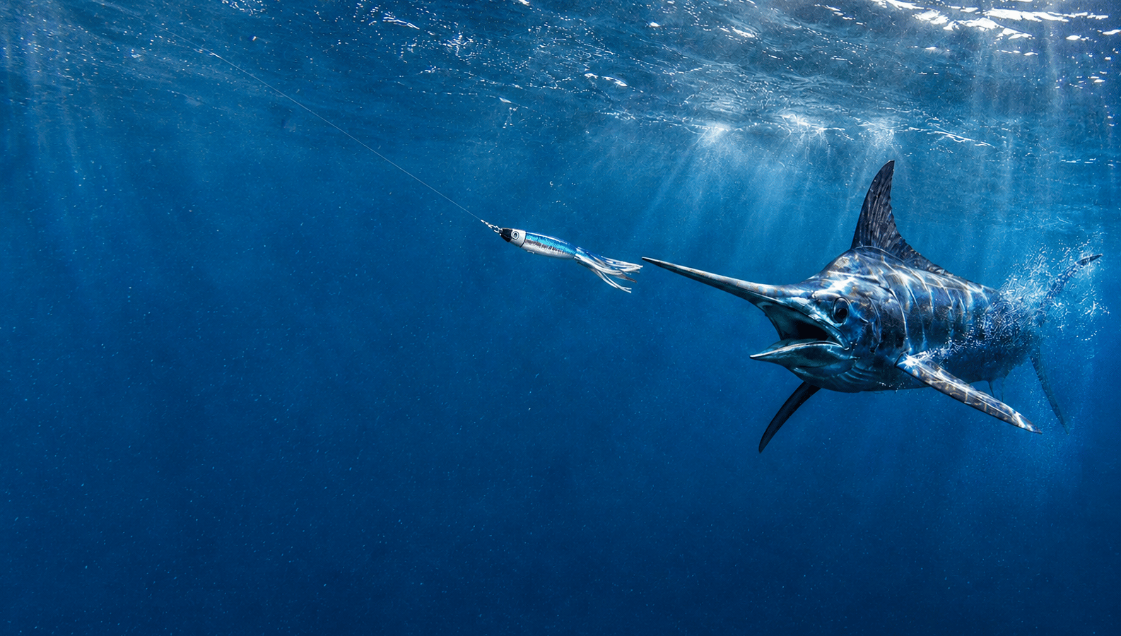 Marlin Hero